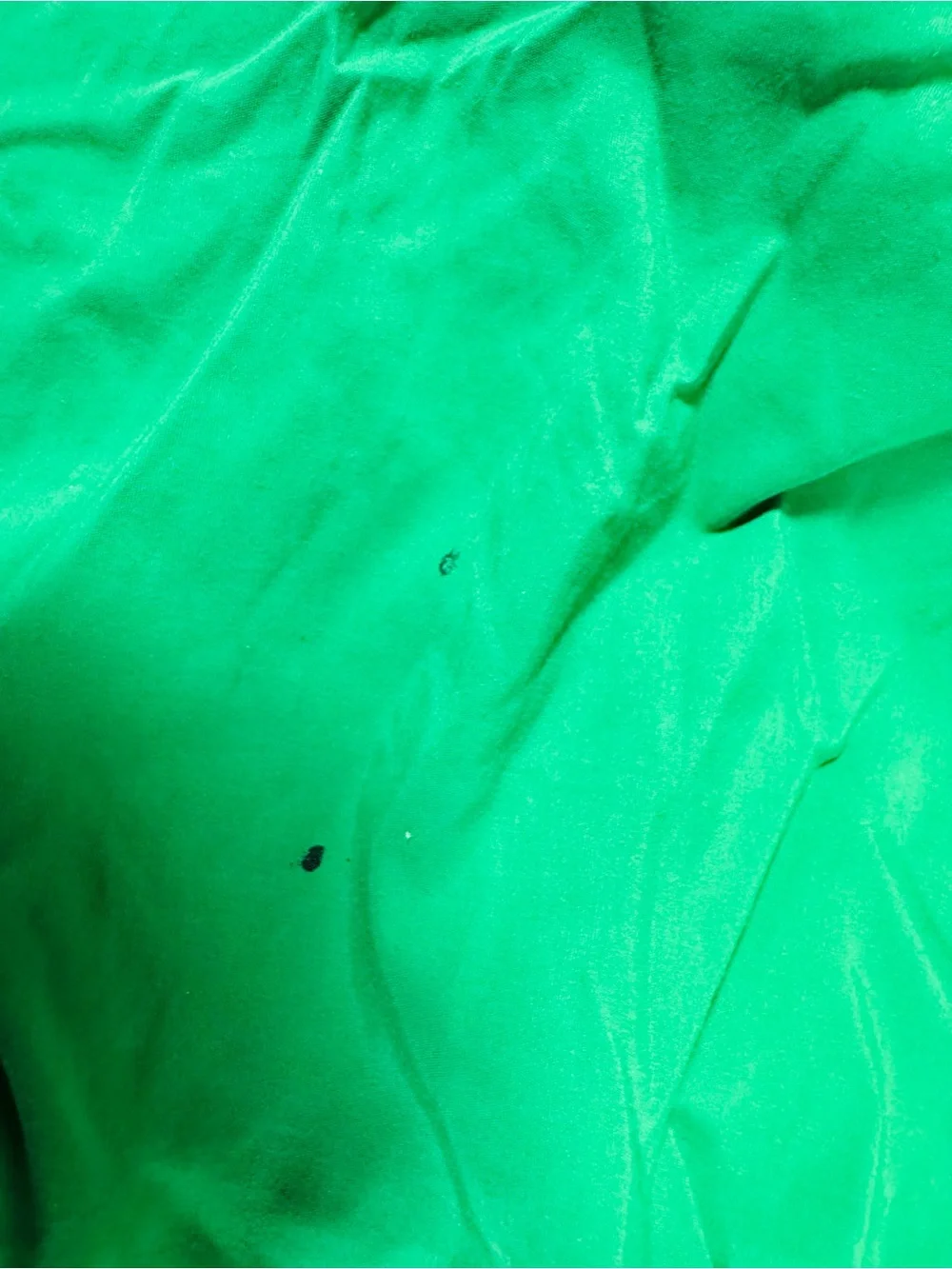 Ralph Lauren Bright Green Swim Trunks with Yellow Pony